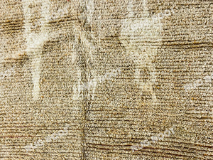 Berber Artistry | Handwoven Moroccan Rug in Warm Beige Tones